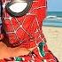 TEAM SPIDER MAN In REAL LIFE ONE DAY On THE BEACH Live Action