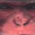 Mike Anthony Why Can T We Live TOGETHER