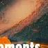 Pham Movements Slowed Reverbed