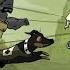 Let S Play Valiant Hearts Part 2 Hungarian Dance 5