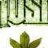 Dat Nigga Keyz Ft LME LOUD Talk Instrumental BY TRAPPA DON
