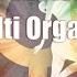Sexual Arousal For Women Multiple Orgasms Enjoy Your Sexuality