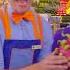 Learn All About Fruits And Colors Watch Blippi S Job Show On Netflix Blippi Shorts