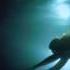 Submerged In Good Hope An Underwater Dance Video Tracee Kafer