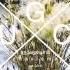 Sade Nothing Can Come Between Us Pomo Edit