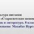 8 класс Н В Гоголь Старосветские помещики 2 урок