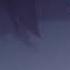 Happy Sugar Life AMV Sarcasm