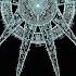 Cygnus