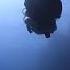 Scuba Diving In Red Sea Hurghad Egypt Abo Ramada Dive Site