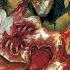 Nine Steps Of Cadaver Decaying