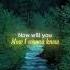 Lost Soul X Lost Soul Down Lyrics NBSPLV