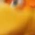 THATS A WOMAN Thelorax