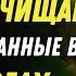 Узнайте о ВИТАМИНЕ который РАССАСЫВАЕТ ТРОМБЫ в ваших НОГАХ