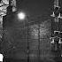 Michael Marcagi In The Light Official Audio
