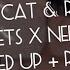 Doja Cat Rihanna Streets X Needed Me Sped Up Reverb