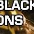 Erron Black Variations Official Breakdown Mortal Kombat X