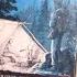 50 Books On Wilderness Survival Bushcraft Camping And Outdoors