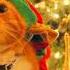 Queen Thank God It S Christmas Christmas Video Slideshow