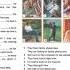 Spotlight 6 Workbook