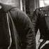 Green Day Waiting Backing Drum Track Isolated