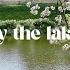 A Soft Morning By The Lake A Dreamy Morning Playlist Romanticize Your Life With 2025 Guitar Music