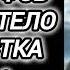 Аудиокнига ПОПАДАНЦЫ В ПРОШЛОЕ ОФИЦЕР ФСБ ПОПАЛ В ТЕЛО ПОДРОСТКА КНИГА 2