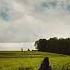Mr Blue Sky Lyrics Electric Light Orchestra Postmodern Jukebox Ft Allison Young