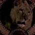 Metro Goldwyn Mayer And United Artists Logo In Normal Fast And Slow Motion 2 5x
