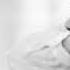 Schiller Feat Peter Heppner Dream Of You Extended Mix
