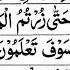 Surah At Takasur Full II By Sheikh Shuraim With Arabic Text HD