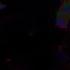 Nightcore I Got No Time Deeper Version