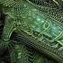 Crocoloko Sex Drugs Goa Trance