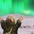 How Ancient Mammoth Hunters Mastered The Arctic 30 000 Years Ago