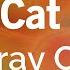 Stray Cat Strut The Stray Cats Karaoke Version KaraFun