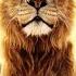 Opening Logos Mufasa The Lion King AD