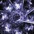 Space Food Distance Extended Mix Siona Records