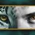 Rene Ablaze Ultimate Extended Mix NOCTURNAL KNIGHTS MUSIC