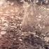 Звуки капель воды звуки капель дождя звуки капли воды