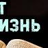 24 хадиса от Пророка которые изменят вашу жизнь Время покаяния