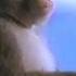 1988 Sony Walkman Commercial U S Version