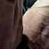SHUT UP AND SQUAT GROWING MONSTER QUADS AND HAMS LEG DAY MOTIVATION