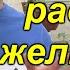 Без этого рассада будет жёлтой Как понять почему листья на рассаде пожелтели простой способ