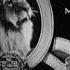 Metro Goldwyn Mayer Logo 1926