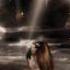 Rock Mystery It S Wonderful Angelo Camassa Roberto Danova