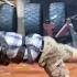 FACE PLANT ON NATIONAL TV Fail Chris Mann On FloorIsLava S2 On Netflix