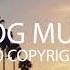 Axmellow Oshóva Summer Nights VLOG MUSIC No Copyright