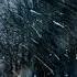 Nightcore Cold Forest NBSPLV