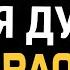 Andro Моя душа Karaoke Back Vocal Instrumental