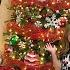 It S Never Too Early For Christmas Decorations Putting Up The Christmas Tree 2021