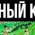Как живет Северный Кавказ Ингушетия Осетия Владикавказ Чечня Грозный